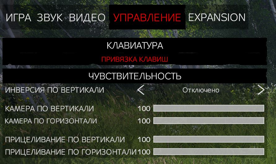 Вкладка Управление — ссылка Привязка клавиш